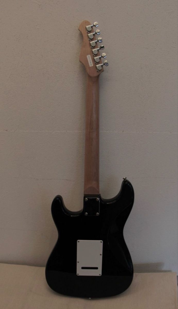 Aria Strumenti musicali: Aria STG-004 Stratocaster – Usato da Arnegg venduto da Heinz16 5