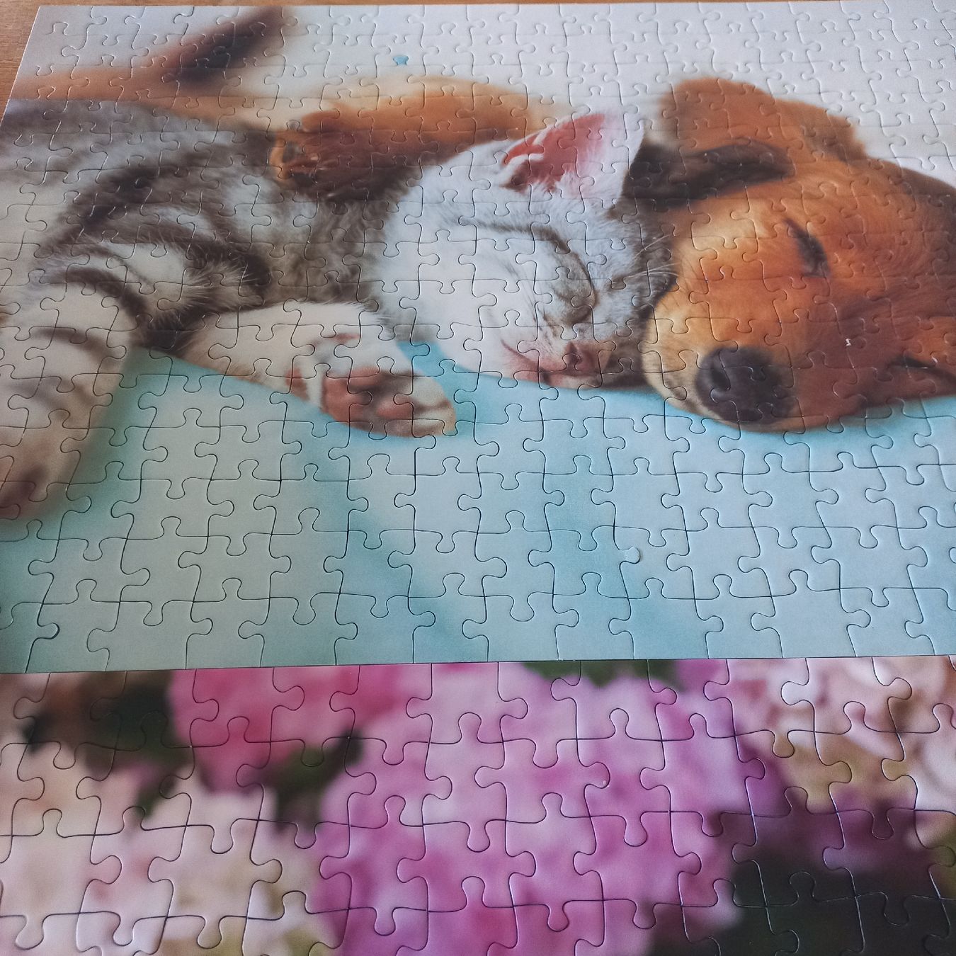 Ravensburger Puzzle: Puzzle Ravensburger 2× 300 pièces  – Nuovo (secondo la descrizione) da Dompierre FR venduto da fat_xth5 9