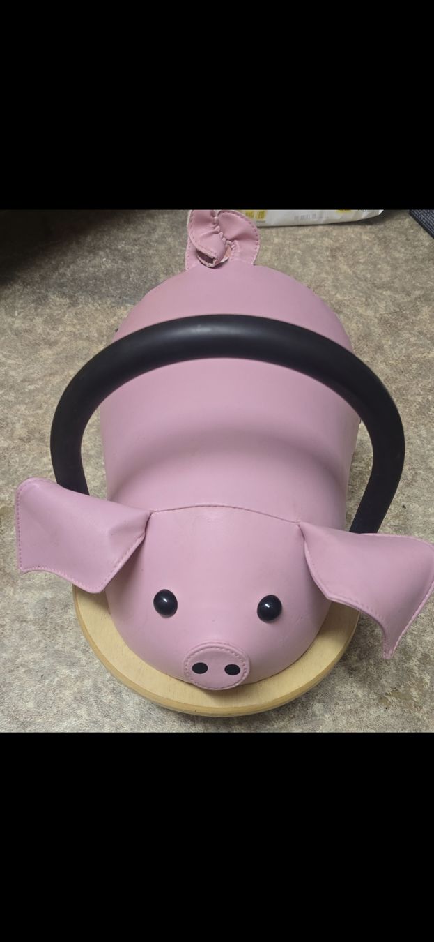 Veicoli per bambini: Wheely Bug Schwein – Usato da Büsserach venduto da Brranko