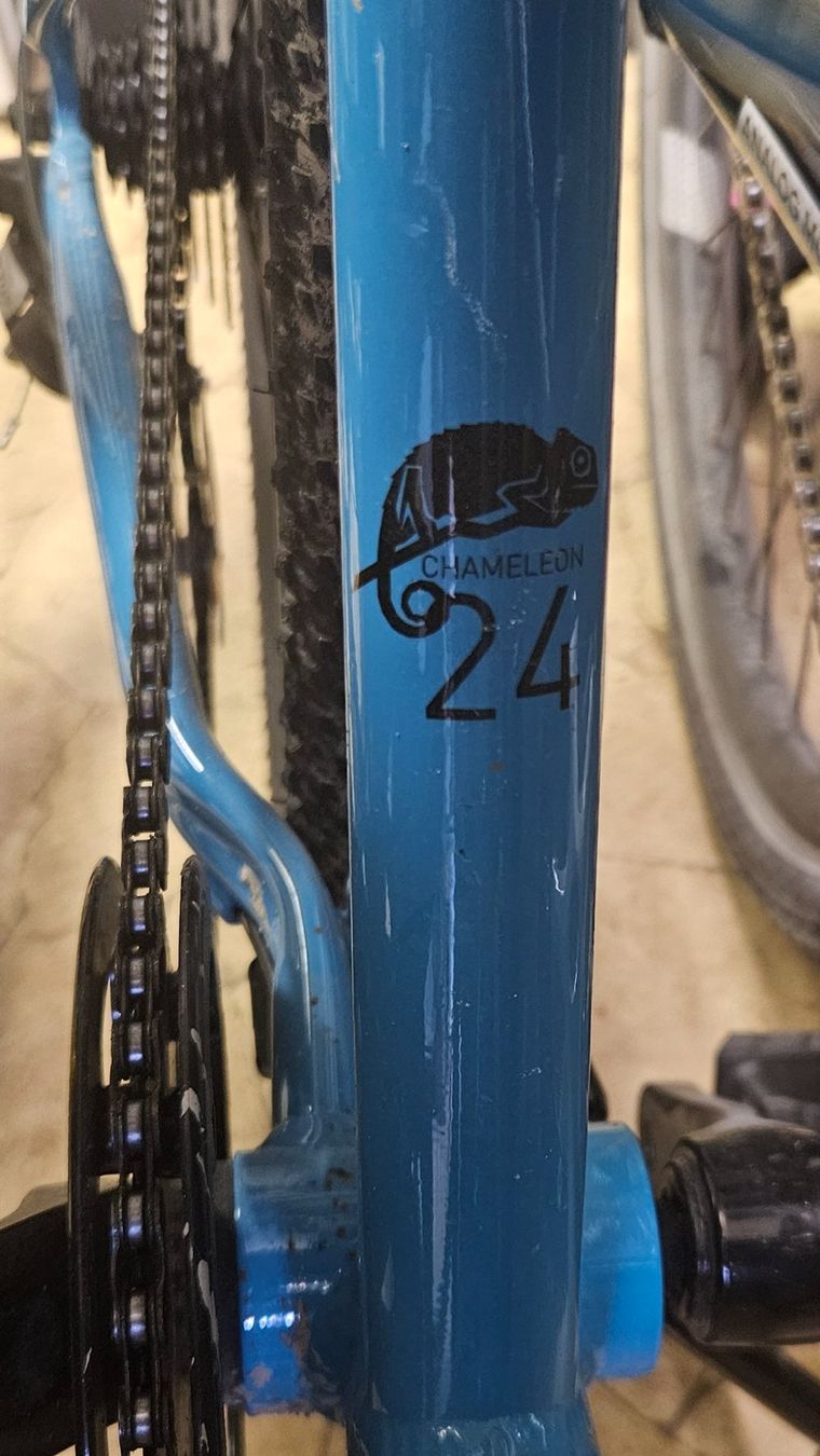 Naloo Biciclette: 24 Zoll NALOO chameleon Kindervelo – Usato da Hausen am Albis venduto da nikzahn 5