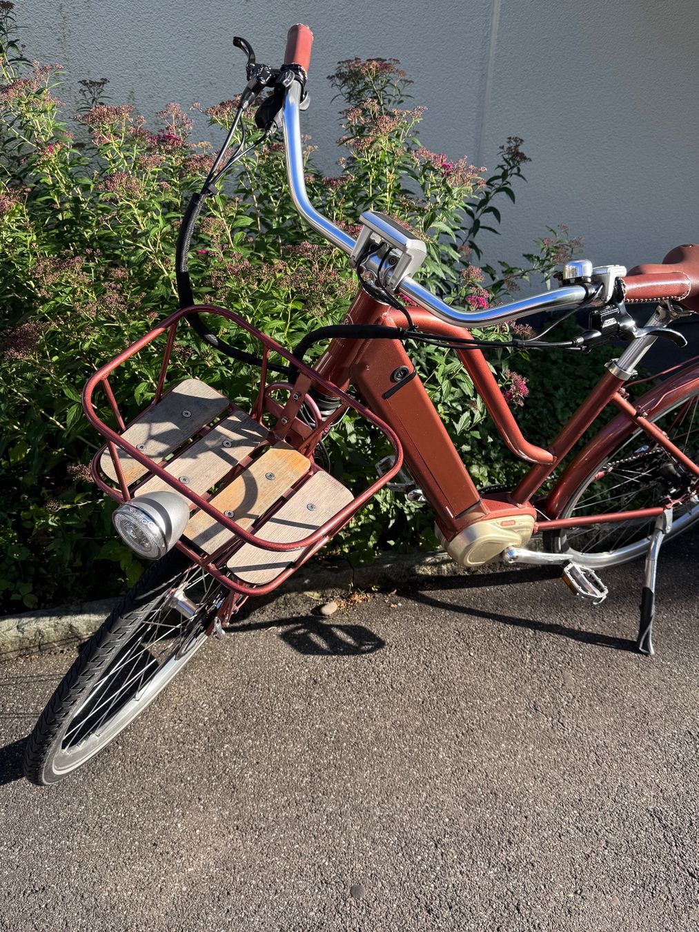 Ego Movement Velos: E-Bike Egomovement Cleopatra – Gebraucht aus Zürich von starsz 1