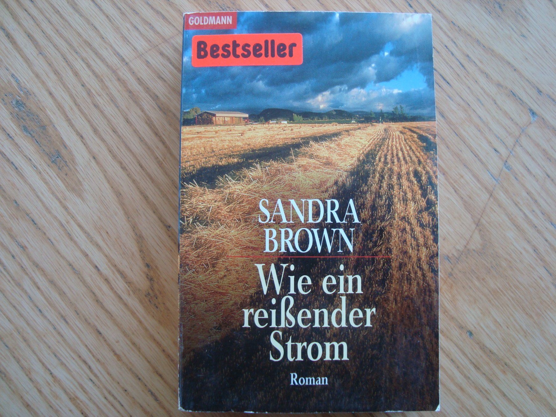 Libri: Sandra Brown (2 Bücher) – Usato da Aesch LU venduto da wysshan 3
