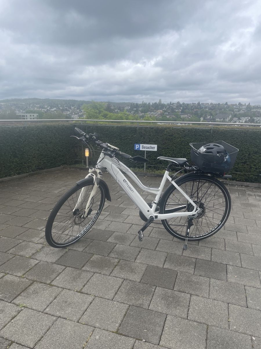 Velos: E-Bike direkt vom Service – Gebraucht aus Bottmingen von fil_v85m
