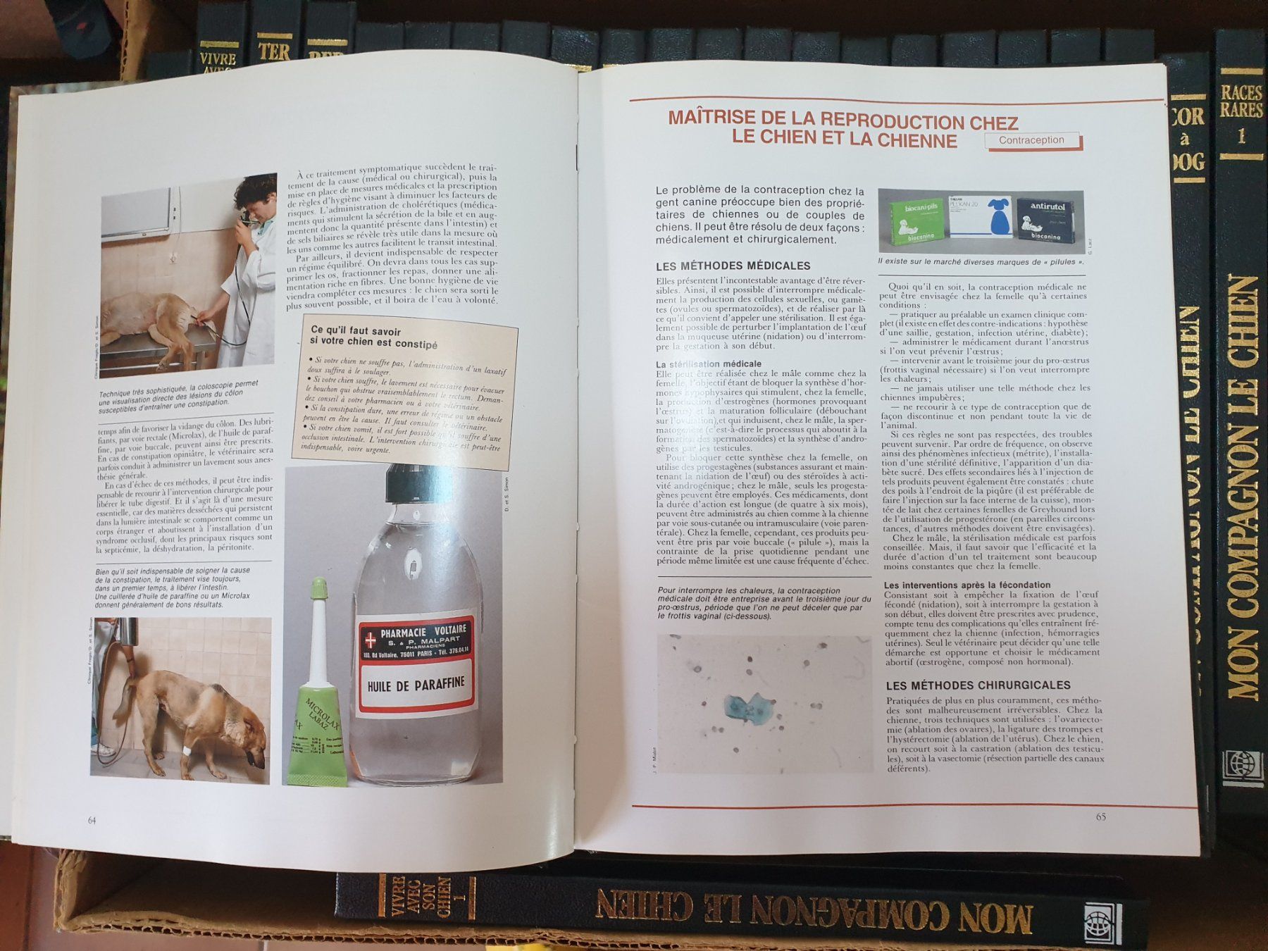 Libri: Encyclopédie sur les chiens – Usato da Chessel venduto da Durabloc 1