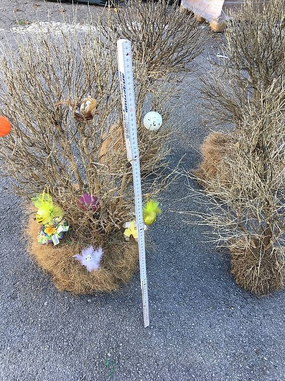 Tutte le decorazioni: Osterdekoration – Usato da Seewen SZ venduto da holx 1