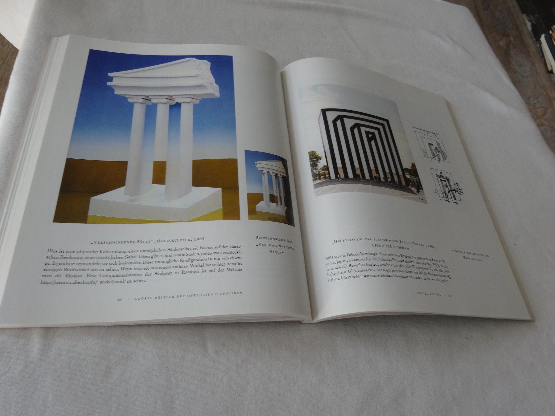 Libri: Meisterwerke Optischen Illusionen Al Seckel – Usato da Neerach venduto da jenny062 8