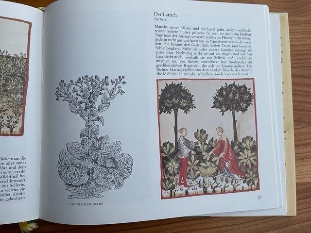 Libri: VON DER GESUNDEN LEBENSWEISE – Usato da Honau venduto da sainj 2