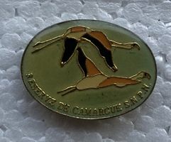 Pin - Camargue