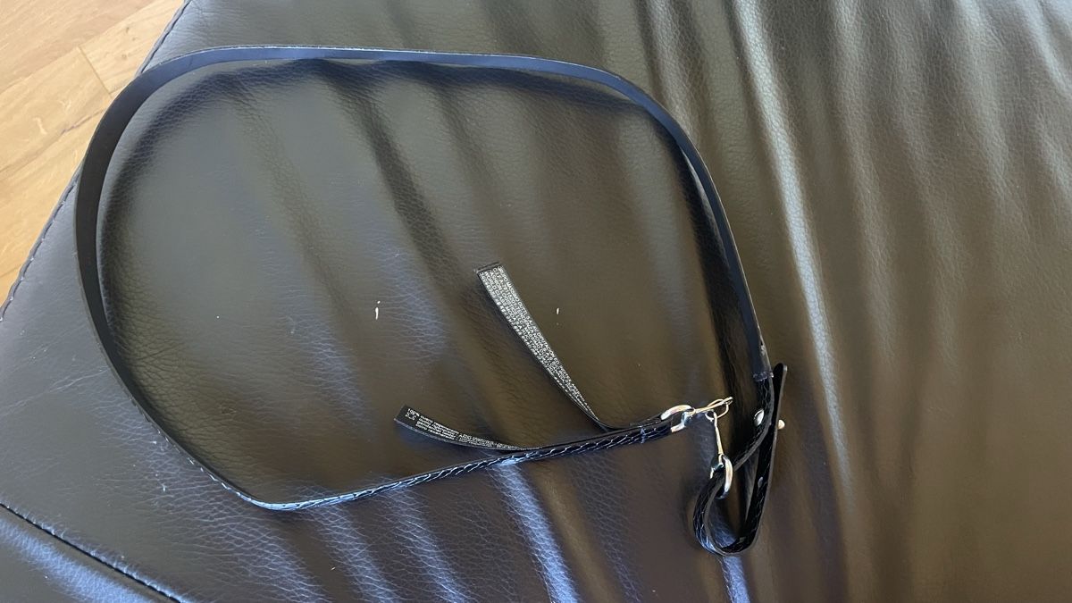Massimo Dutti Gürtel: Snakeskin Print Belt with Silver Clasp (M) – Gebraucht aus St-Gingolph von Ynatka