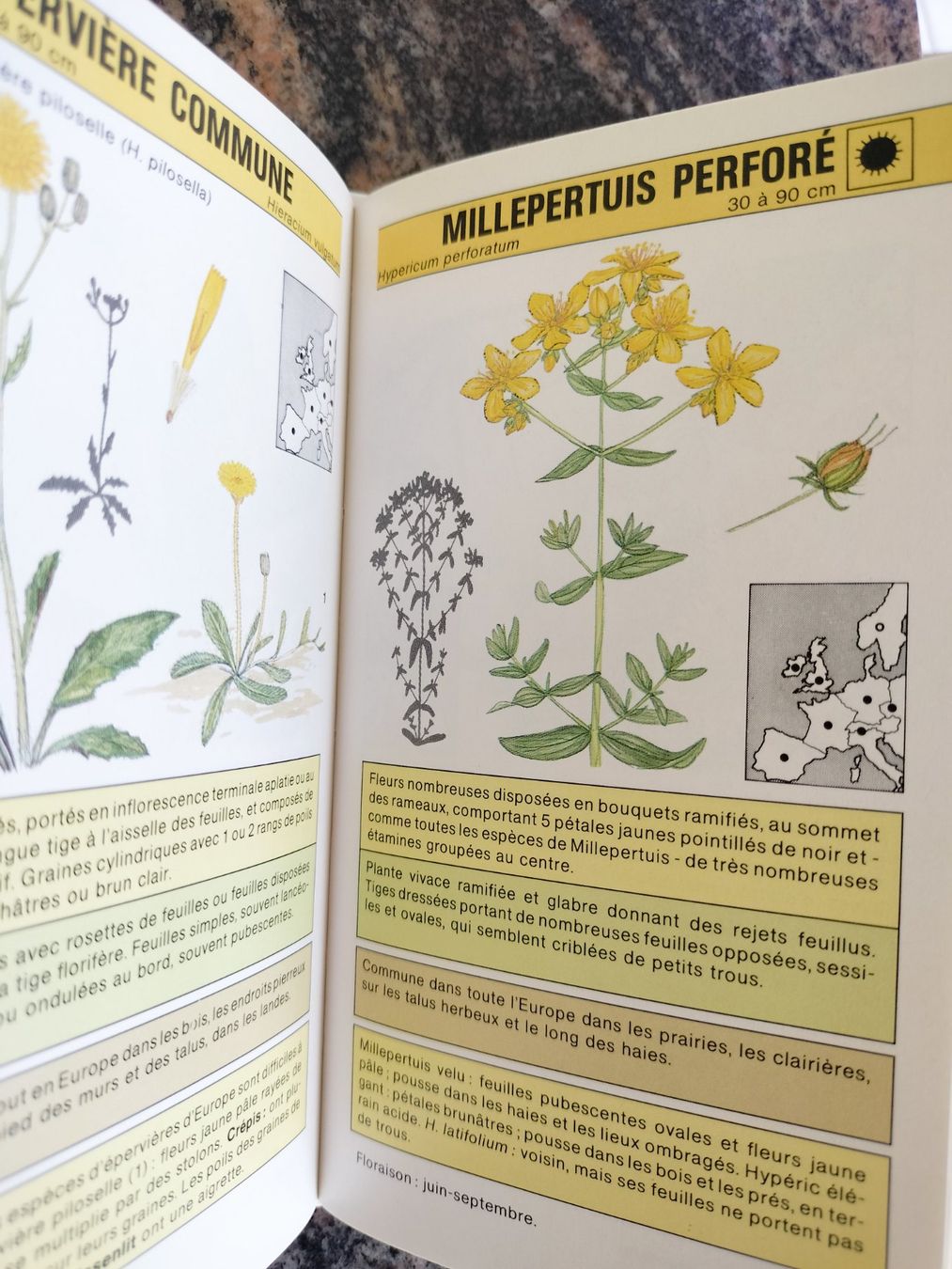 Bücher: Fleurs sauvages Gründ Nature - Poche – Gebraucht aus Cortaillod von rozinna 6