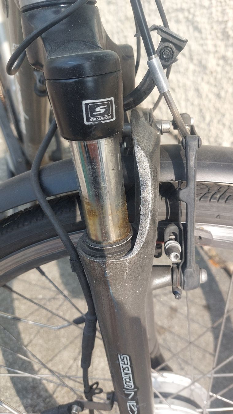 Leopard Velos: Leopard Elektro Velo gebraucht   – Gebraucht aus Solothurn von ewerus 3