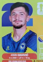 Panini Sticker BIH 10 Armin Gigović
