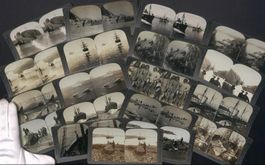 19 Stereo-Fotografien Walfang und Robert