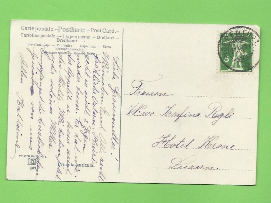 Cartoline postali: Alte Ansichtskarte Schlüsselblume Alpen – Usato da Zürich venduto da t24_de 1