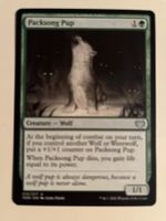 1 x Packsong Pup - Magic: The Gathering - MtG