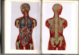 Medizinisches Lexikon der Büchergilde mit vielen Abbildungen