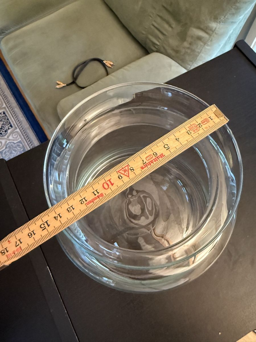Vasi & Recipienti: Vase en verre transparent – Usato da Les Enfers venduto da samoern 2
