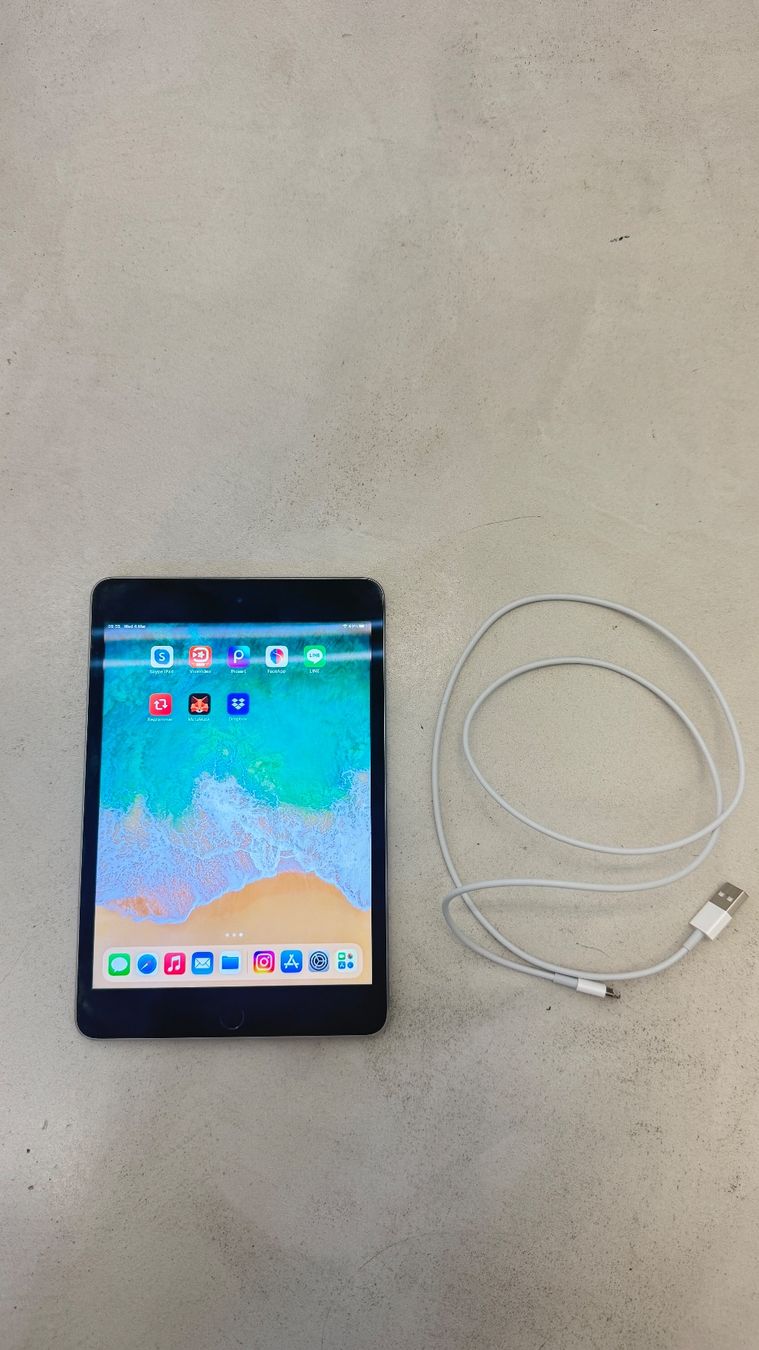 Apple Tablet PC: iPad mini 4 128GB année 2015 – Usato da giffers venduto da sev_c9x9