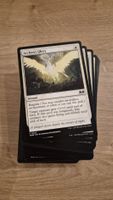Wilds of Eldraine Common Cards Set (EN) - Magic MTG