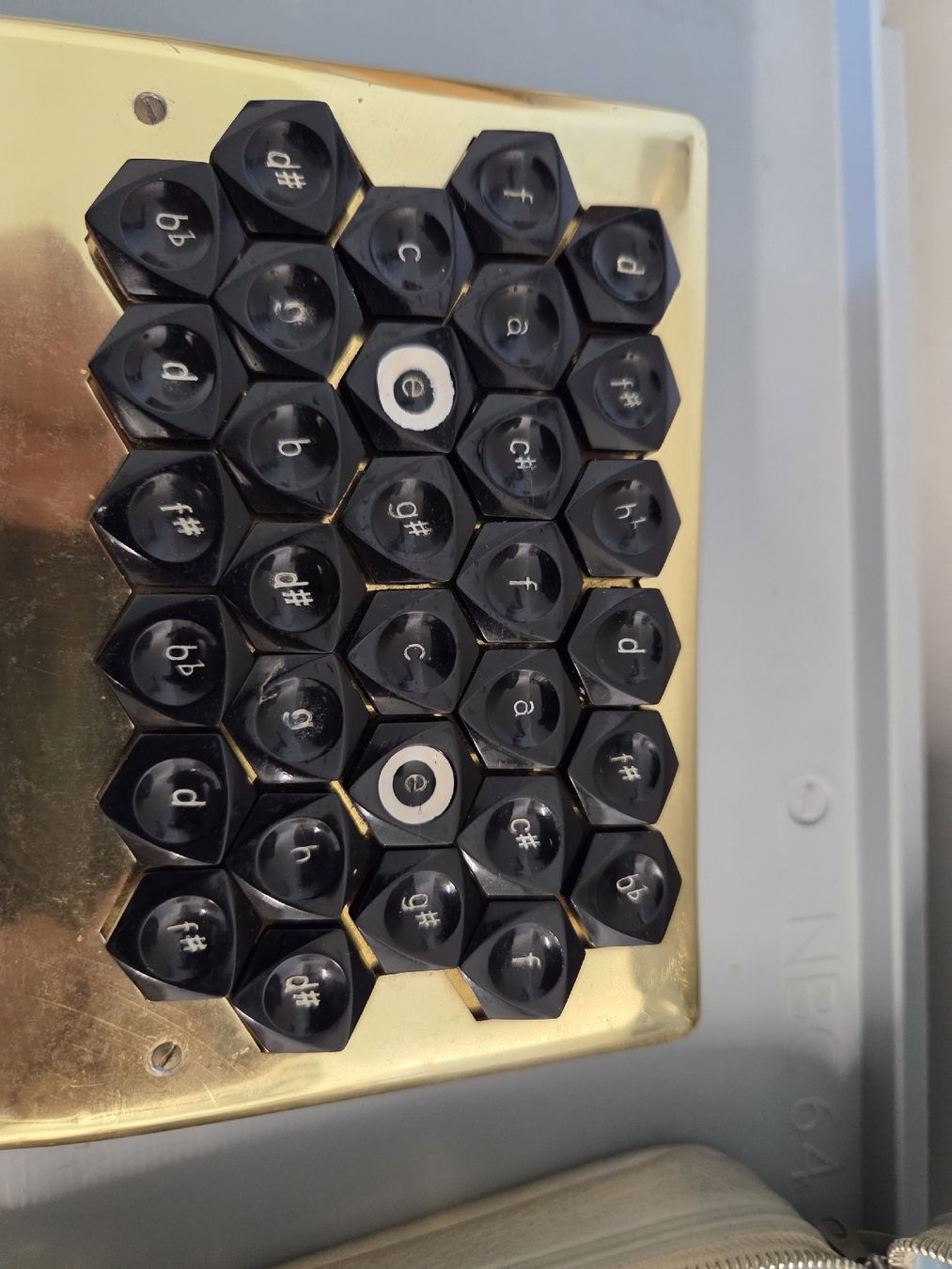 Hohner Strumenti musicali: Mundharmonika Hohner Harmonetta mit Etui  – Usato da Dietikon venduto da Allegra34 3
