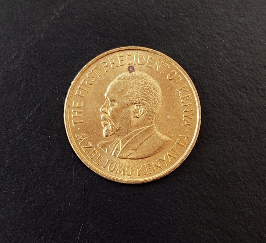 Tutti le monete: 5 Cents Münze Kenia 1971 – Usato da Lenzburg venduto da Dani_Lenzburg 1