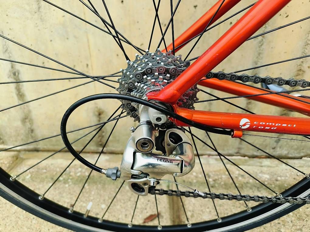 Giant Biciclette: Giant TCR Ultegra 3x9 "M" – Usato da Agno venduto da Snapyalpha 4