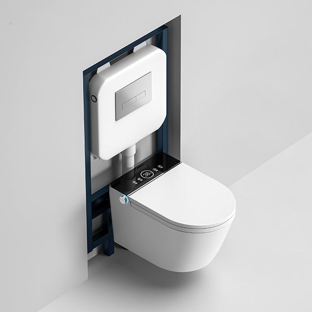 WC: Dusch WC mit vielen Funktionen inkl Wassertank – Nuovo (secondo la descrizione) da Saules BE venduto da zemco 2
