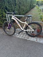 Damenbike