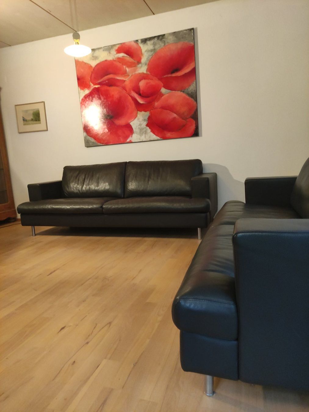Divani: Ledersofa zweiteilig, Echtleder – Usato da Wetzikon ZH venduto da schirkahn 1