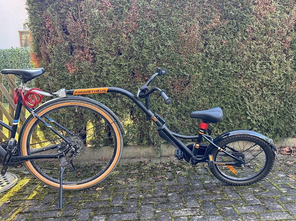 Biciclette: Co-Pilot Kinder-Velo - wie neu! – Usato da Hedingen venduto da khe_zmb7 1