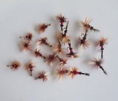 20 Royal Wulff - Trockenfliege