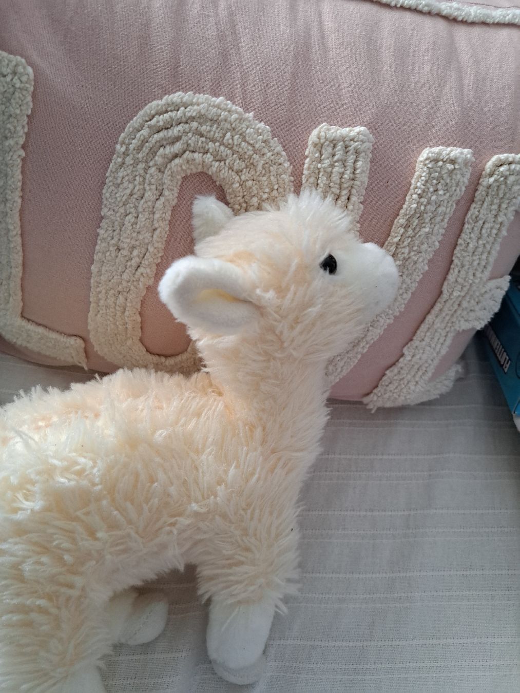 Giocattoli: Stofftier Lama hellbeige kuschelig gut erhalten – Nuovo (secondo la descrizione) da Solothurn venduto da mar_zmy8