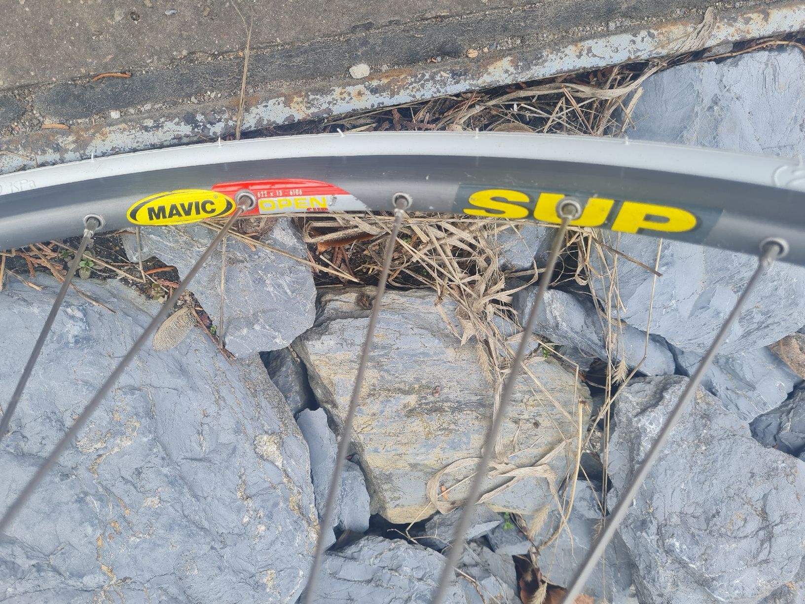 Bianchi Biciclette: Bianchi Belissima – Usato da Zürich venduto da shooter72 3
