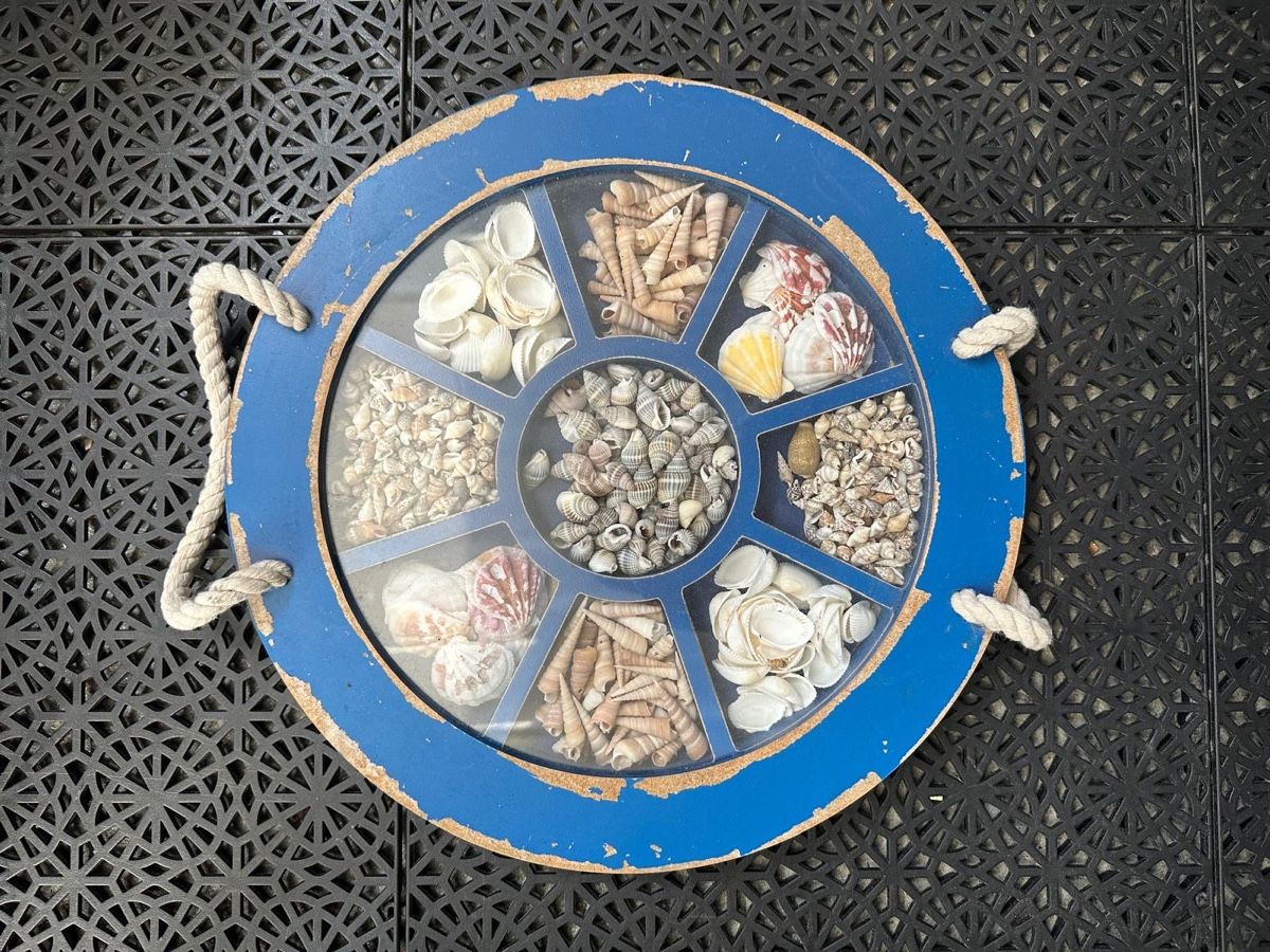 Tutte le decorazioni: Muscheln Deko – Usato da Bettlach venduto da valishop
