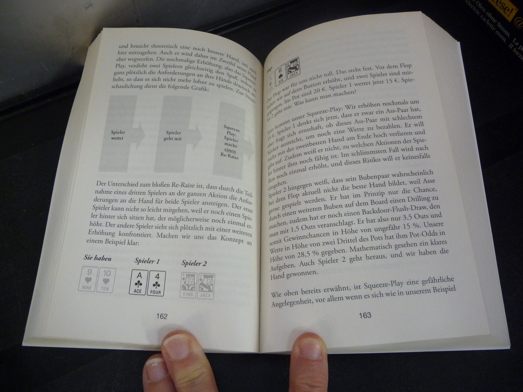 Libri: Buch: Die Poker Uni Jan Meinert – Usato da Rafz venduto da Powacaddy 2