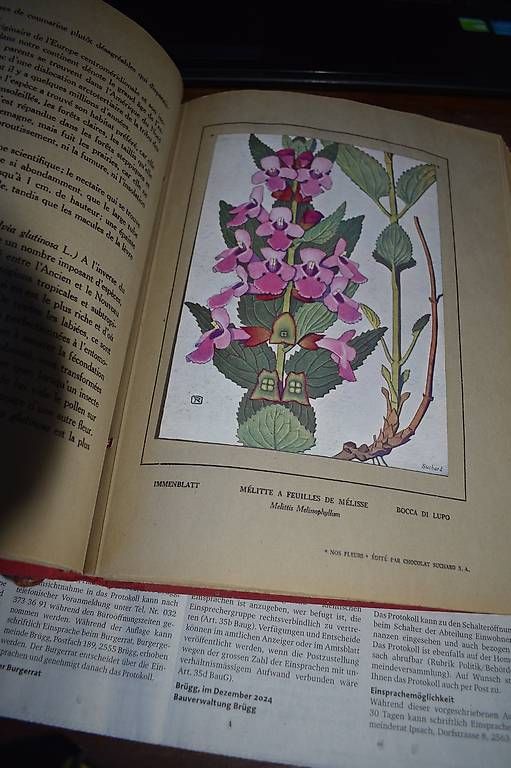 Livres: Philippe Robert nos Fleurs – D'occasion à Brügg BE par Aristotolius 1