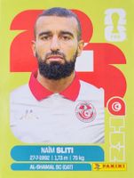 Panini FIFA World Cup TUN 20