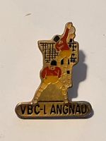 1 Pin VBC Langnau