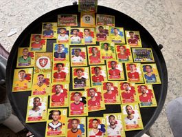 40 verschiedene Panini Sticker 2026