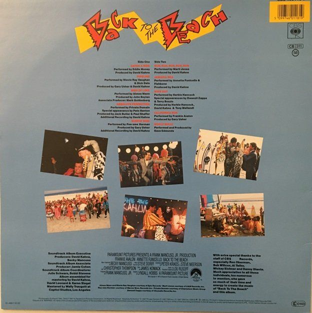 Dischi in vinile: Back to the Beach - Soundtrack (LP) – Usato da Grüningen venduto da azulvinyl 1