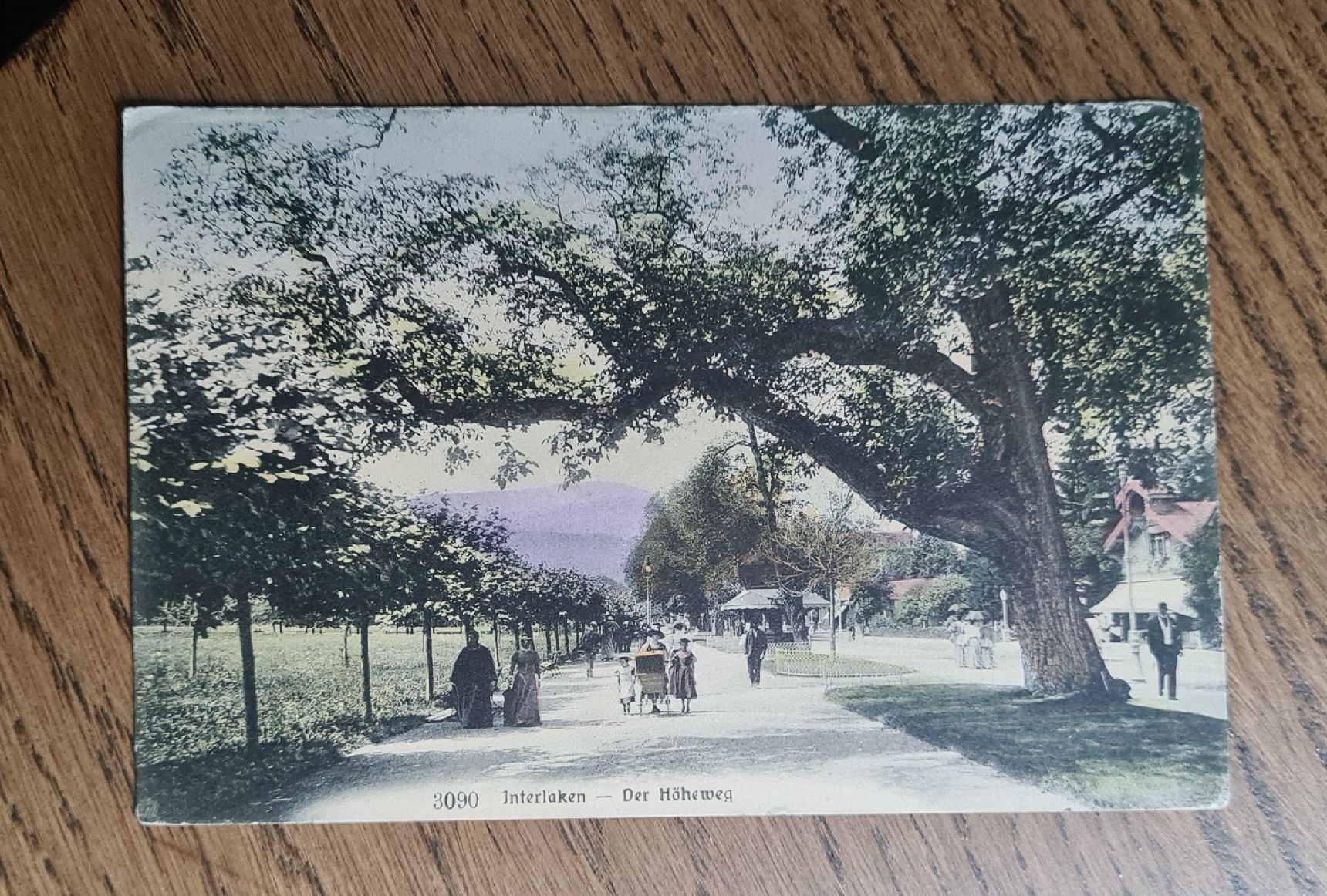 Cartoline postali: Interlaken - Der Höheweg 1909 – Usato da Ebikon venduto da Donar50