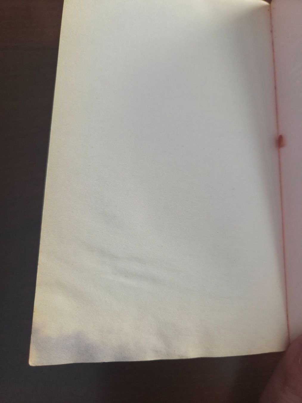 Libri: Truman Capote – In Cold Blood – Usato da Aldesago venduto da lusuardi 6
