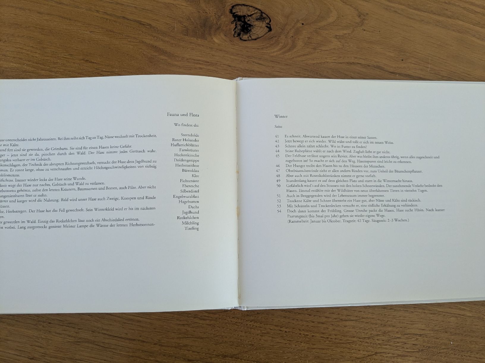 Libri: Peter Bergmann - Hasenjahr - Zytglogge – Usato da Wohlen AG venduto da merkur0300 8