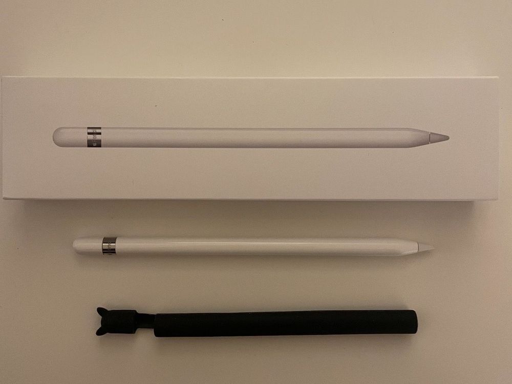 Apple Pencil 1.Gen mit Hülle Kaufen auf Ricardo
