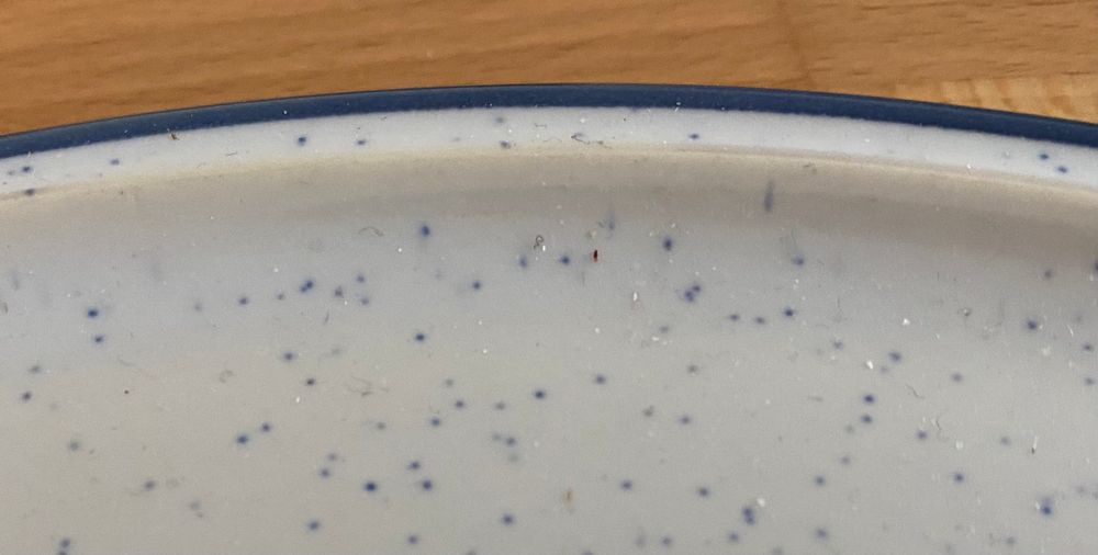 THOMAS Family Blue Tortenplatte weiss 33cm | Kaufen auf Ricardo