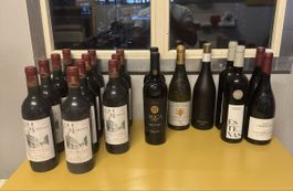 Lot Rotwein 19 stk. 