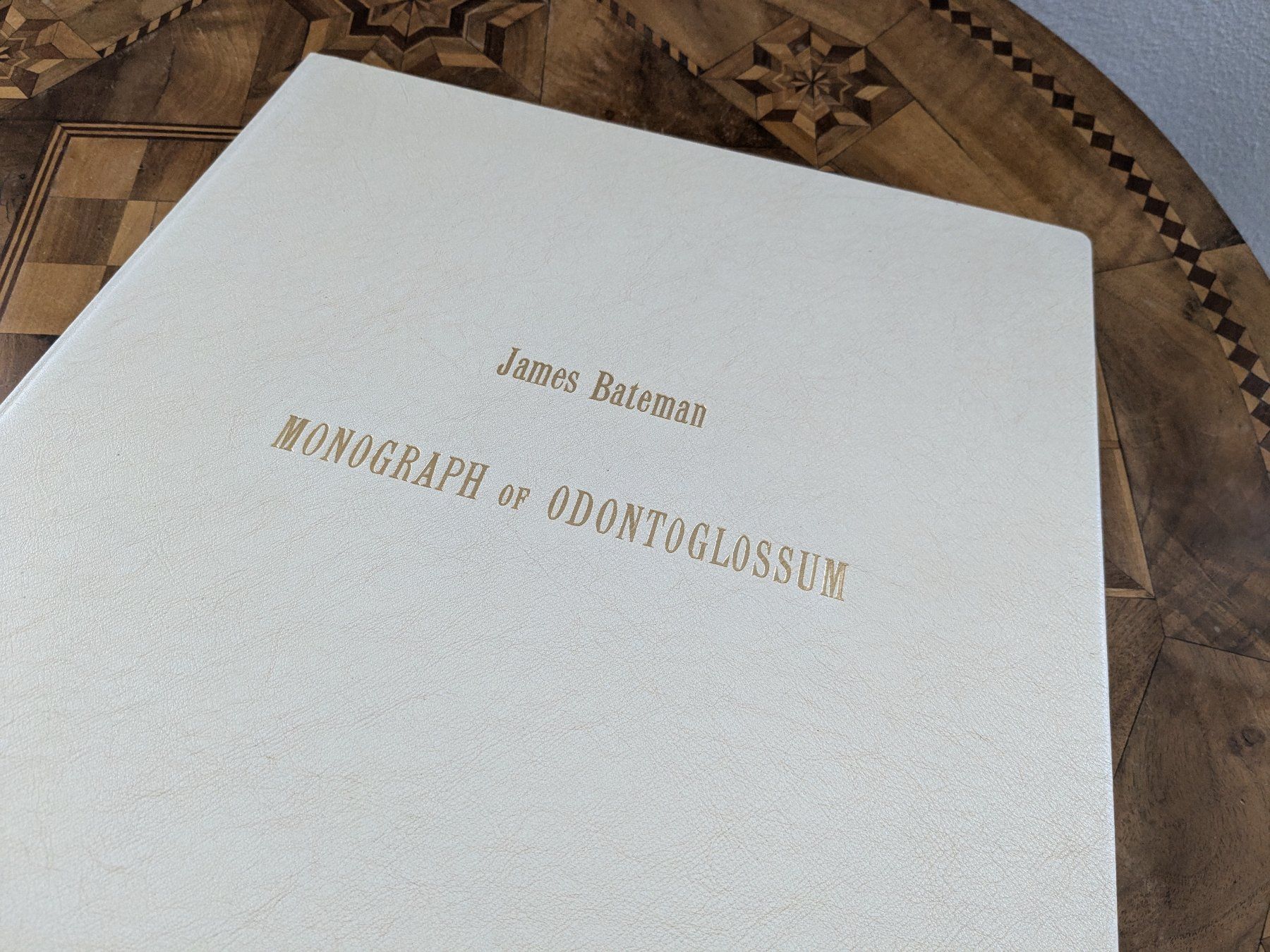 Libri: James Bateman - Monographie Odontoglossum – Usato da Bülach venduto da mueller8180 1