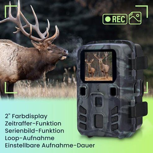 Fotocamera: Kompakte Wildkamera, Full HD, PIR-Sensor – Nuovo (secondo la descrizione) da Horn venduto da toromungo 2