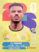 Panini FIFA World Cup RSA 17