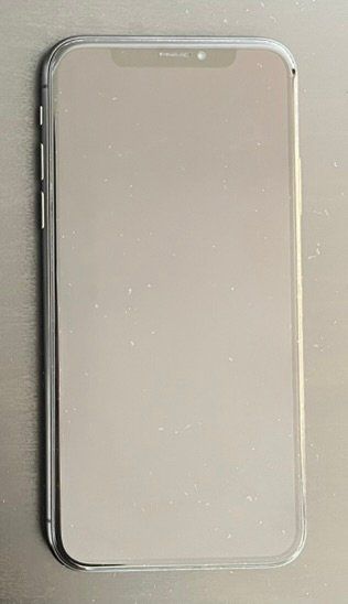 Apple Telefoni cellulari / Smartphones: iPhone X – Usato da Malters venduto da CH_Lanfire
